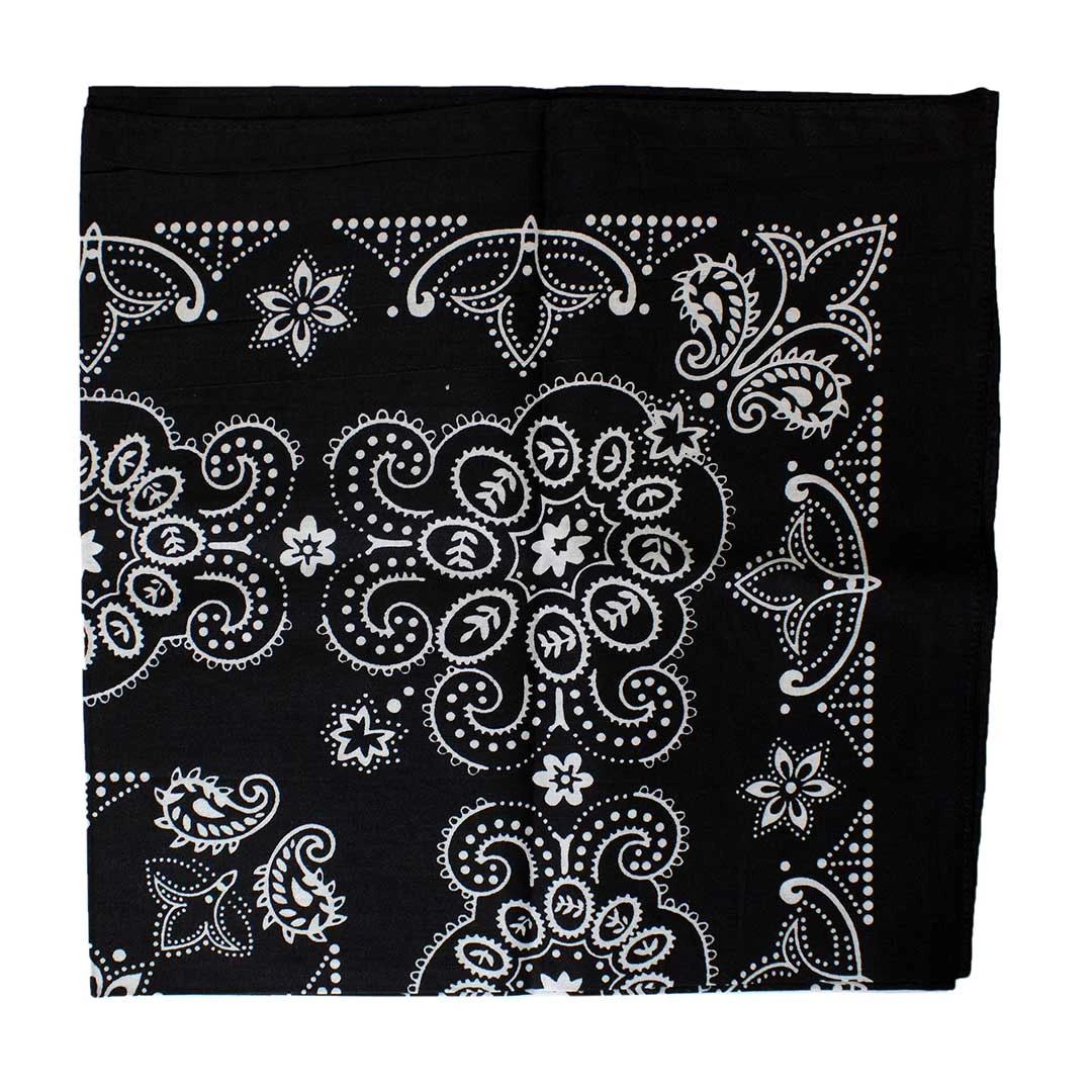 Austin Accent Paisley Print Bandana - Image 3