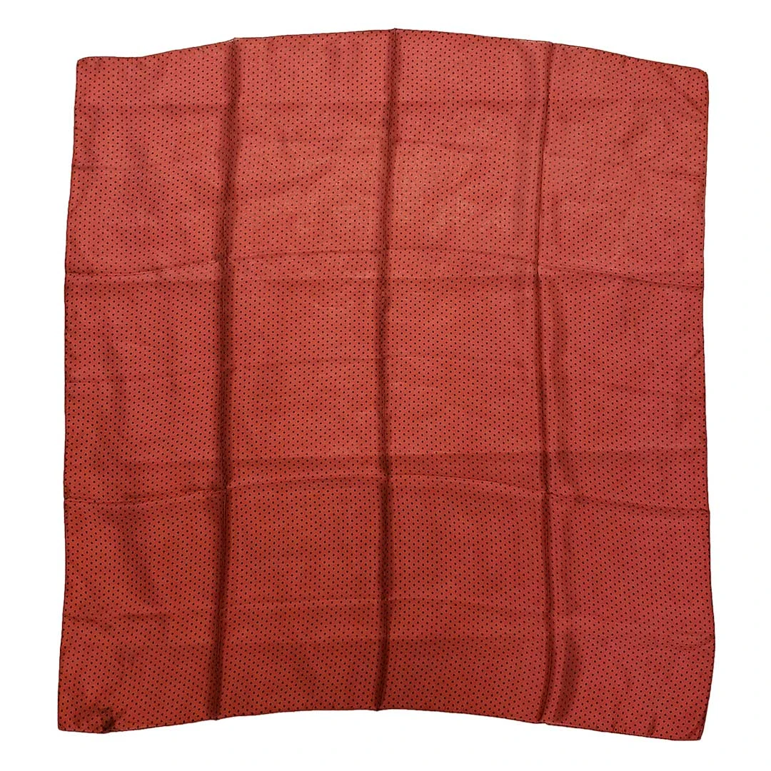 Austin Accent Polka Dot Wild Rag - Image 4