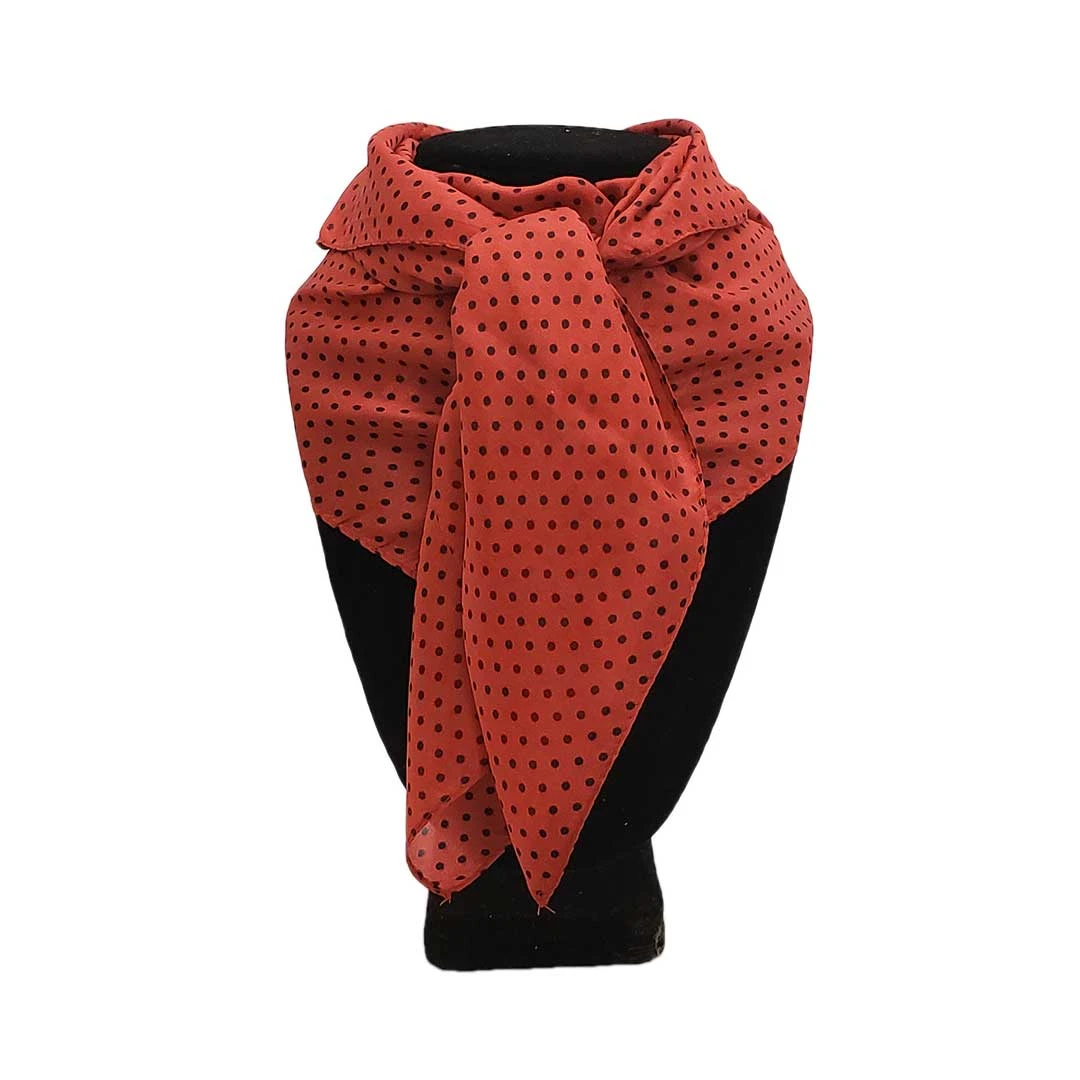 Austin Accent Polka Dot Wild Rag - Image 3