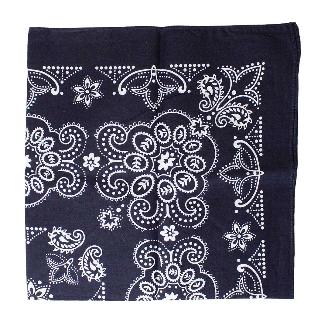 Austin Accent Paisley Print Bandana - Image 4